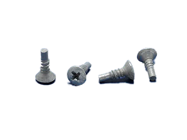Stainless Steel Pilot Point Screw (030401)