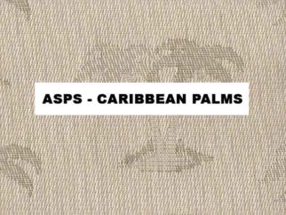 ASPS-Yard of Caribbean Palms