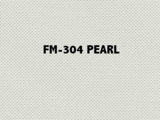 FM-304